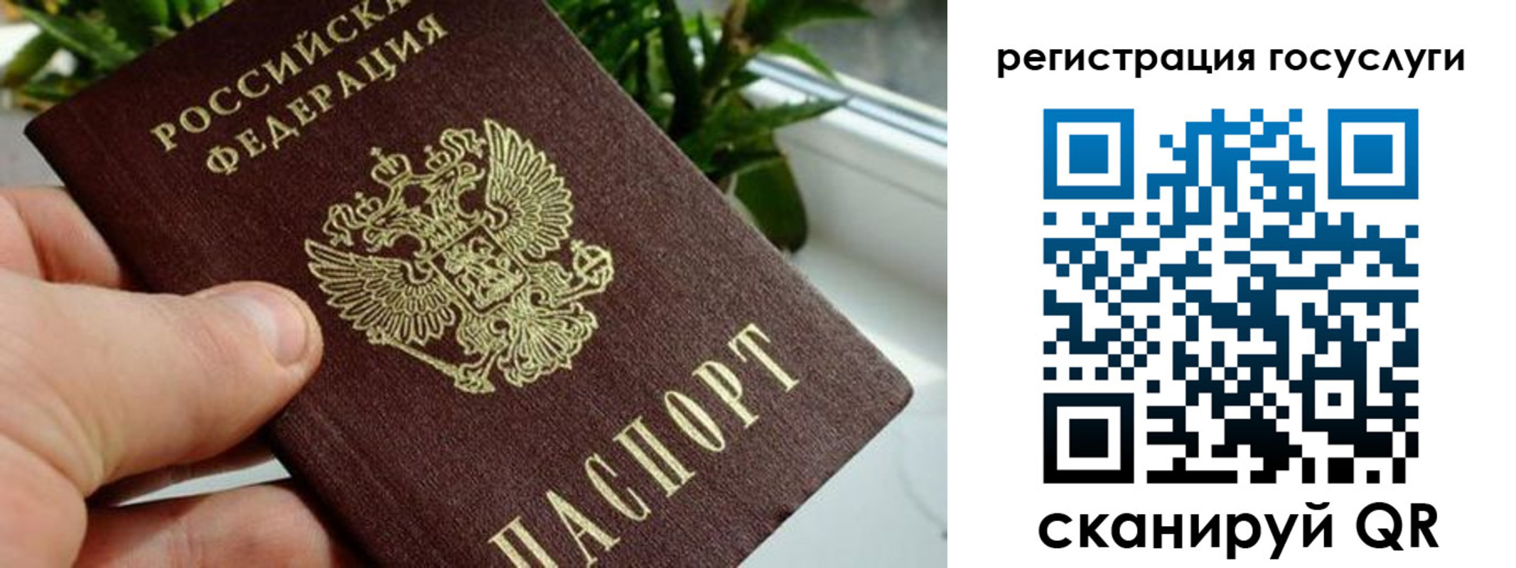 временная регистрация недорого в Владимире